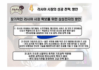 [국제경영] 삼성전자 국제경영의 대한 연구 -애니콜 러시아 진출 사례-10
