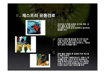 [유통론] 제스프리 유통분석-6