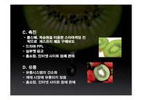 [유통론] 제스프리 유통분석-15