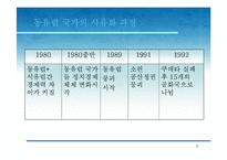 [국제경영] 제4장 정치적-문화적 환경-4