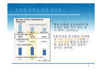 [국제경영] 제4장 정치적-문화적 환경-5