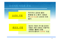 [국제경영] 제4장 정치적-문화적 환경-7