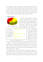 [마케팅조사] 애플 아이폰(i-Phone)의 한국시장 진출 전략-13