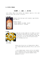 [마케팅] 새로운 전통주 마케팅전략-13