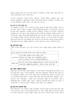 [경영분석] ABC마트의 성공 사례-8