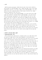 [경영학,중소기업] 중소기업의 경쟁력 향상 방안-2