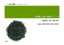 [일본의 차문화] [다례, 다도] 일본의 차 문화와 역사, 현황 분석-17