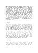 내·외 기업의 국제경영 성공사례-6