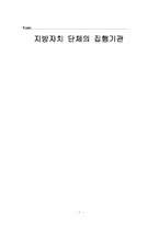 [지방행정론] 지방자치 단체의 집행기관-1