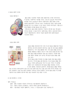 [디자인] 뉴미디어와 디지털 디자인-6