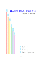 [광고론] 스카이 핸드폰 광고분석 -제품광고 성공사례-1