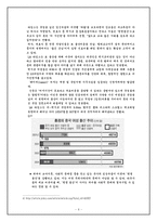 원정출산, 그 실태와 문제점 및 해결방안에 관한 제안서-6
