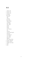 피임 레포트-2