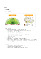 [도시행정] 아시아 문화 중심도시-5