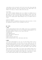 [도시행정] 행정중심복합도시-13