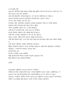 [TV프로그램분석] 텔레비전프로그램분석(VJ특공대)-7