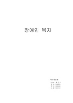[사회복지] 장애인 복지의 의의 및 복지 대책-1