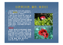 [사회병리](사회병리학) 마약의 중독과 후유증에 대하여 발표한 자료입니다-7
