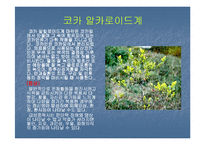 [사회병리](사회병리학) 마약의 중독과 후유증에 대하여 발표한 자료입니다-8