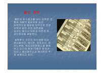 [사회병리](사회병리학) 마약의 중독과 후유증에 대하여 발표한 자료입니다-9