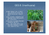 [사회병리](사회병리학) 마약의 중독과 후유증에 대하여 발표한 자료입니다-10
