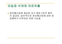 사이버 범죄 레포트-11