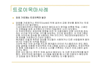사이버 범죄 레포트-20