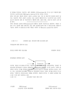 [사회심리] 인간관계론의 역사적 발전 과정-11