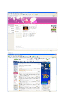 온라인상의안티문화-3