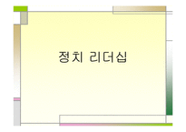 (비교정치학)독일정치-14