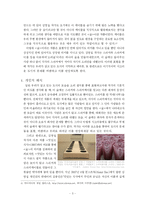 [미술, 미술교육, 미술실기] 미술 비평문 - 김영섭 `숲`-4