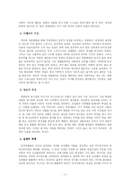 [감상문] 영화감상문(중경삼림)-2