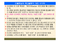 팔레스타인 분쟁-13