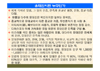 팔레스타인 분쟁-15