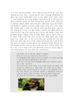 [감상문] 영화 굿윌헌팅을 통해본 바람직한 교사상-3