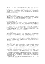 [정치학] 자유주의 패러다임과 외교정책결정이론-19
