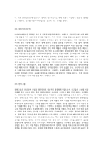 한국기업의 해외진출사례-6