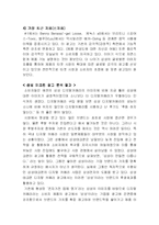 삼성테크윈 vs 소니코리아 광고 분석-7