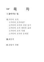 [매스컴] 미디어 조작-1
