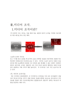 [매스컴] 미디어 조작-3