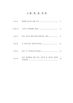 [매스컴] UCC의 유형과 현황, 그리고 UCC 관련 문제점과 제언-3