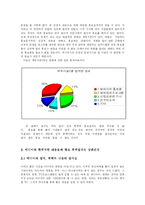 현재 우리사회에서 공인된 영상매체 속의 폭력적 선정적인 부분 규제-3