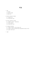 싸이월드의 장단점과 나아갈 방향-2