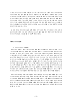 인터넷방송 전망과 미래-15