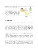 [인식론] 우리는 내 밖의 것에 대해서 확실한 인식을 갖는가-4