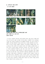 [광고학] 성적소구과 성적소구광고-7