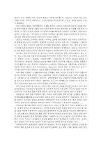 한류열풍 현상과 그 원인, 그리고 문제점 나갈방향-2