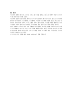 한류열풍 현상과 그 원인, 그리고 문제점 나갈방향-9