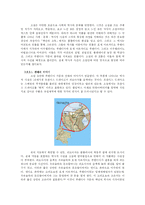 마술적 사실주의와 역사적 상상력 -씨앗으로 돌아가는 여행, 백년의 고독, 거대한 날개달린 상 늙은이를 중심으로-15