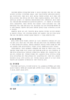 [현대사회와 직업] 국가 공무원-8